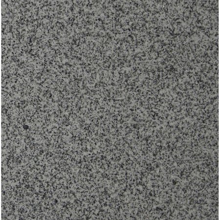 MSI Bianco Catala 12 in.  X 12 in.  Polished Granite Floor And Wall Tile, 5PK ZOR-NS-0077